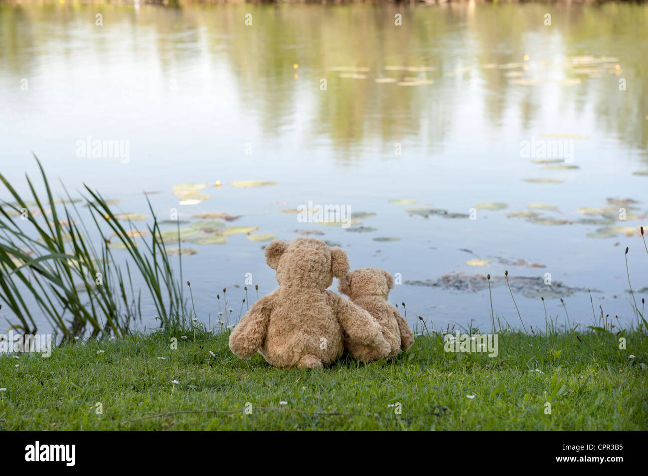 back view of teddy bears looking at the lake Stock Photo - Alamy