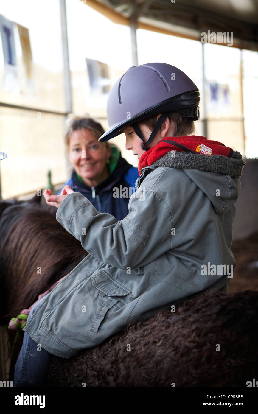 HIPPOTHERAPY Stock Photo Alamy