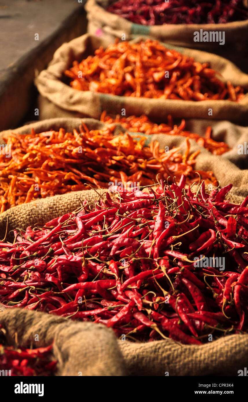 Spicy dried chili peppers and spices in burlap sacks in the Chandni Chowk market in Old Delhi, New Delhi, India. Stock Photo