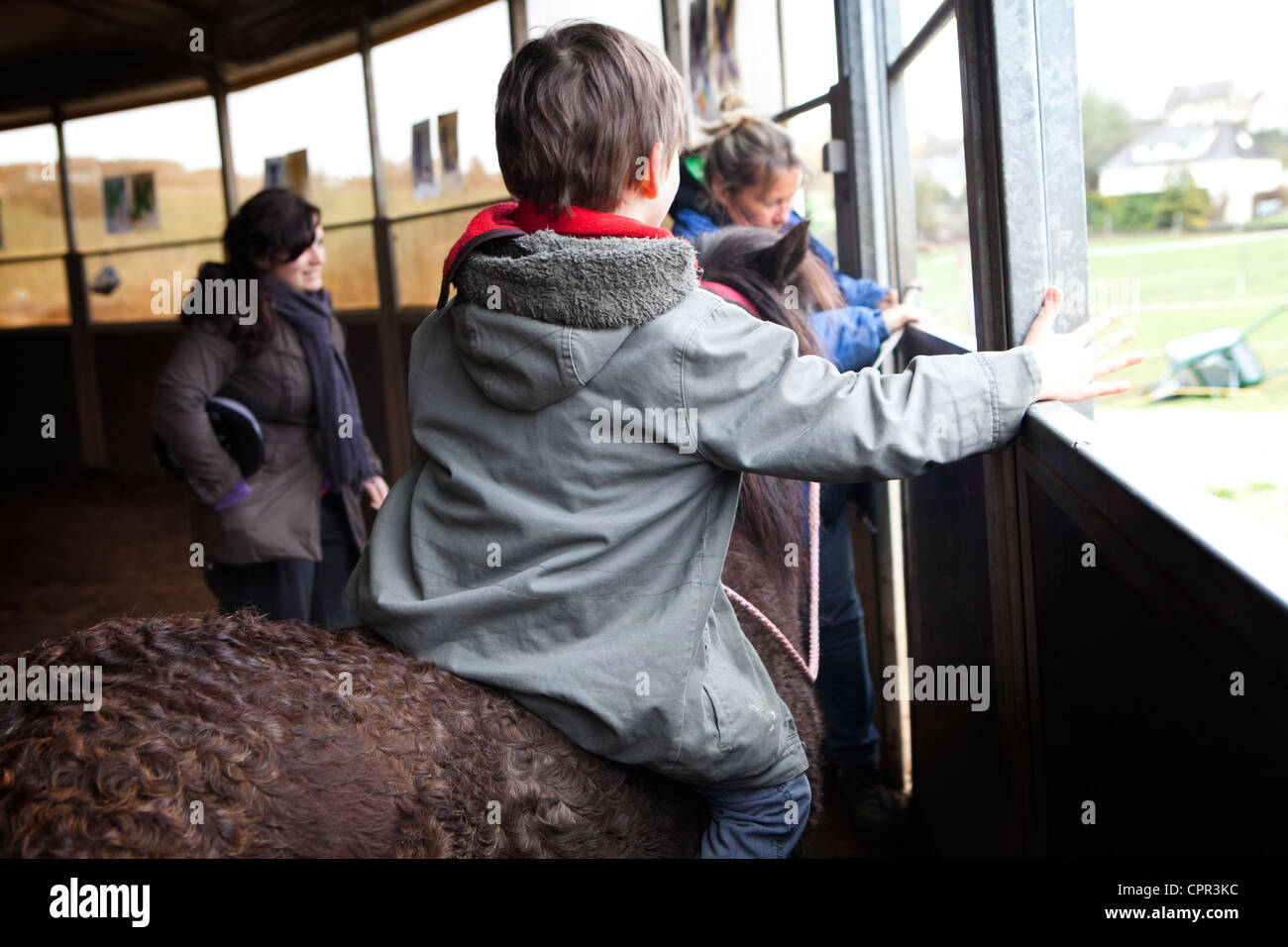 HIPPOTHERAPY Stock Photo Alamy