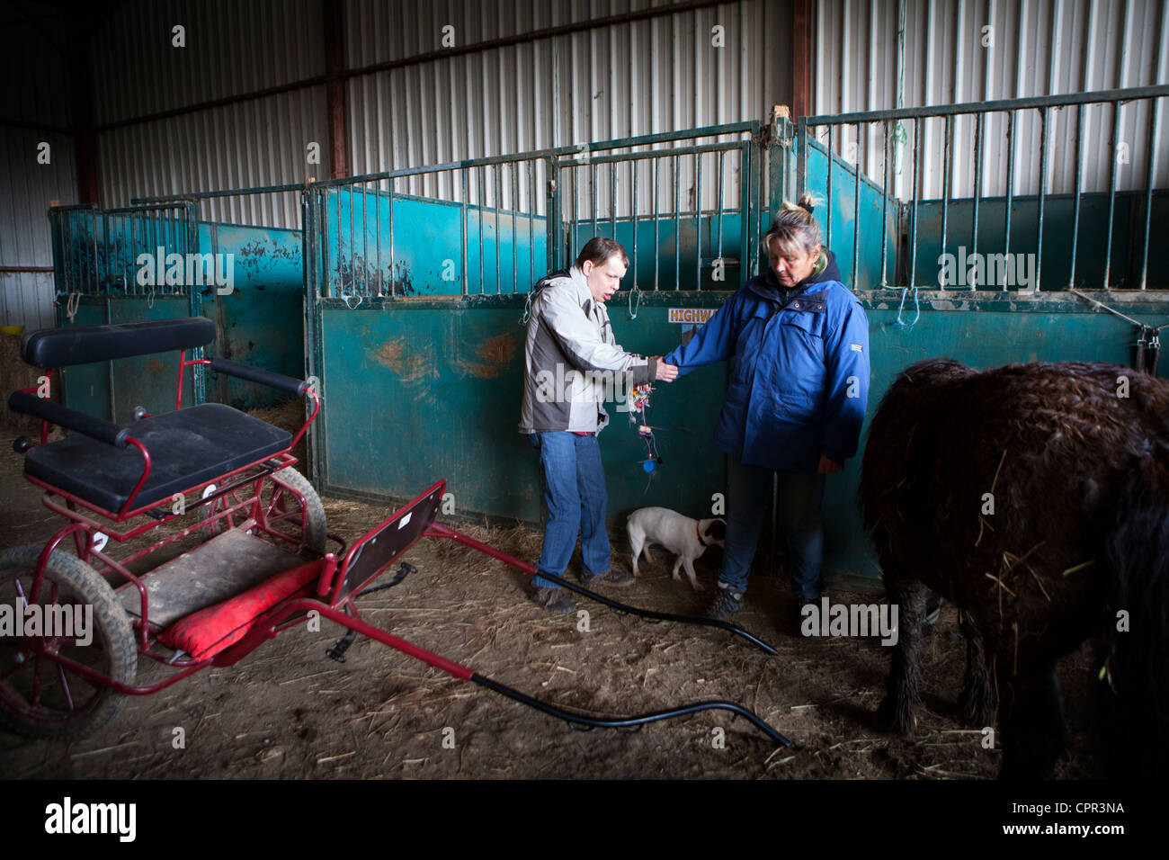 HIPPOTHERAPY Stock Photo Alamy
