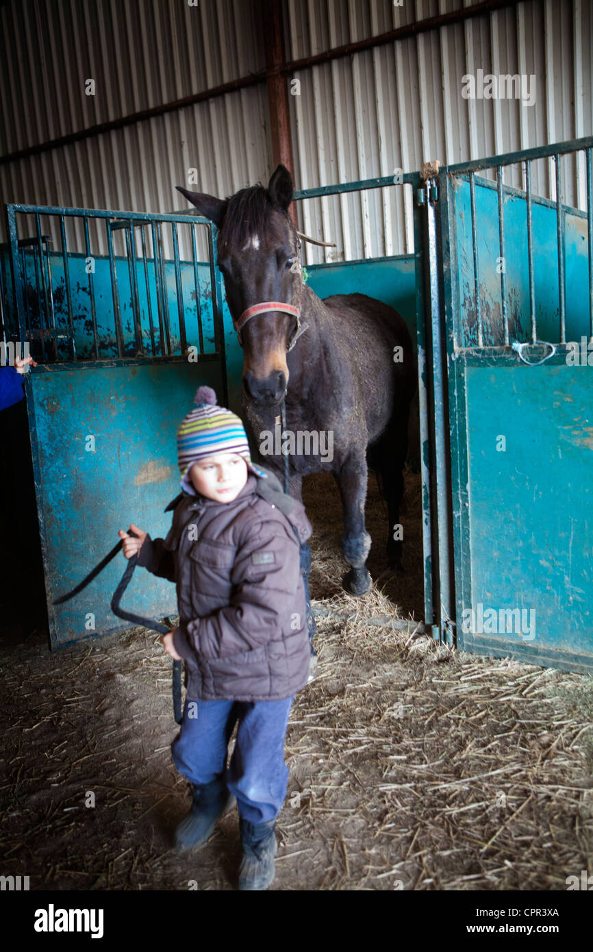 HIPPOTHERAPY Stock Photo 48451154 Alamy