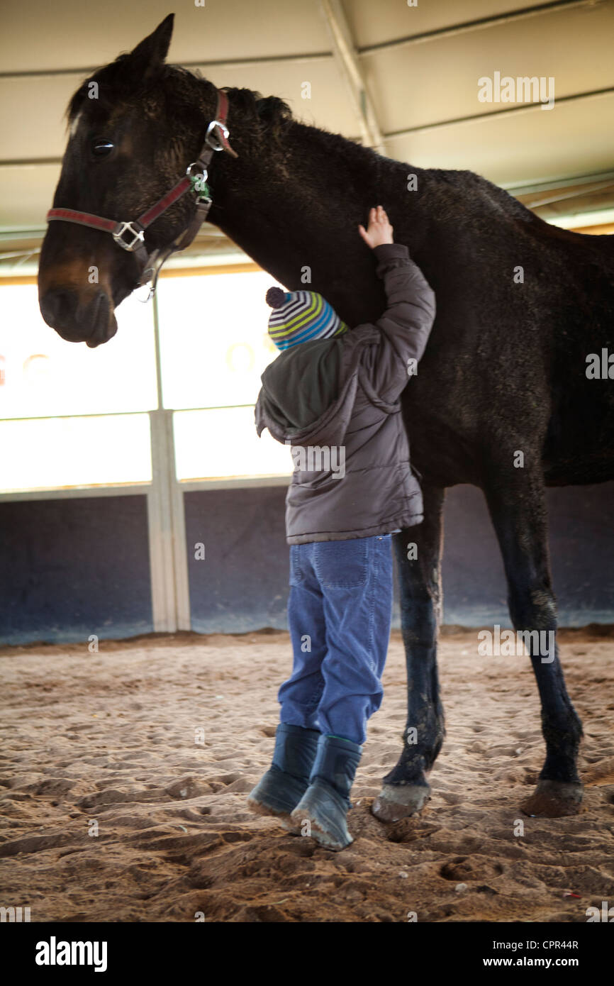 HIPPOTHERAPY Stock Photo Alamy