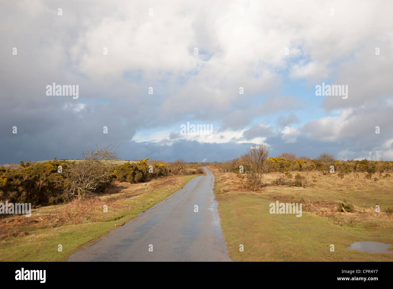 Road on Bodmin Moor Stock Photo