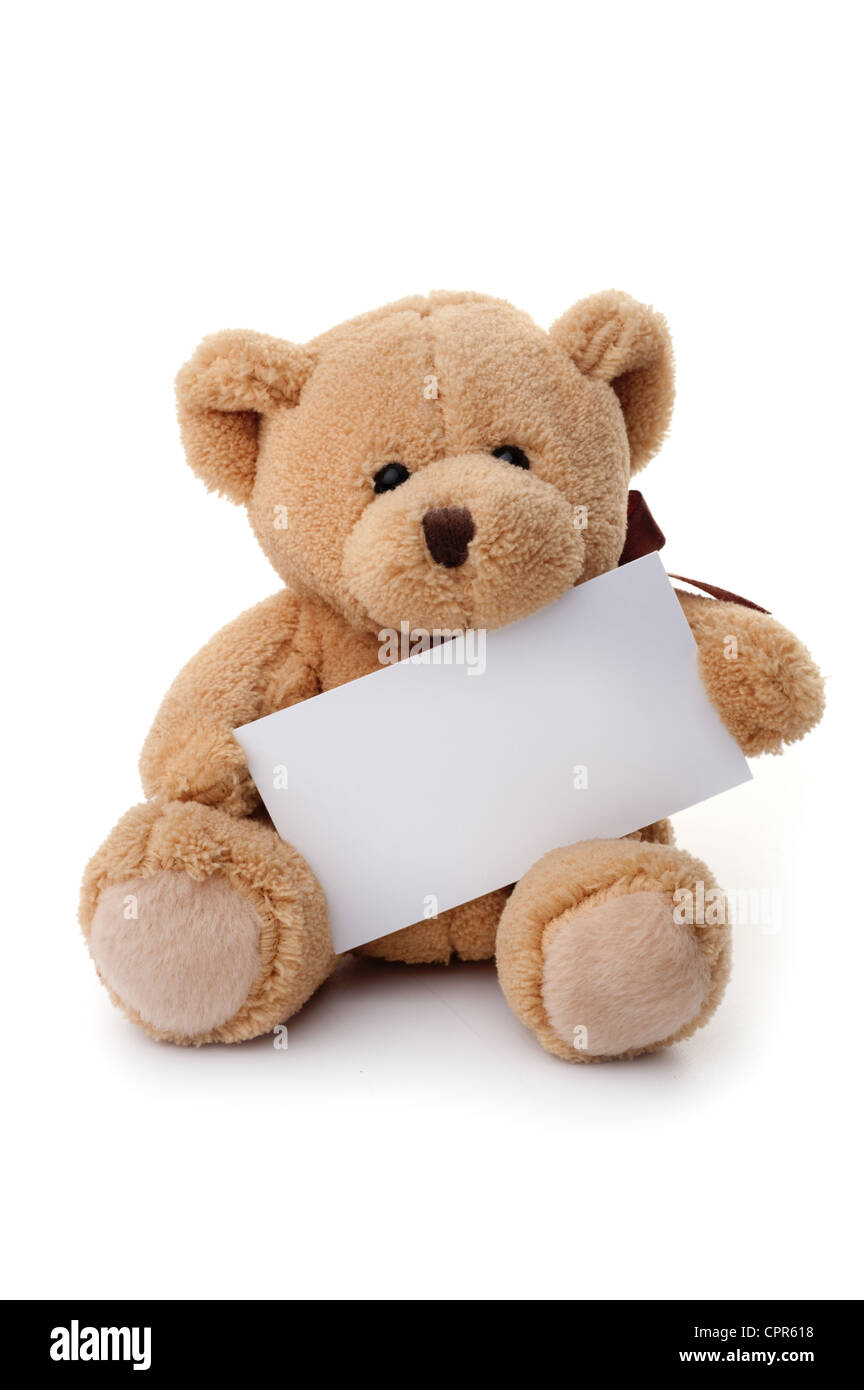 Small teddy bear holding white banner, sitting, isolated on white background Stock Photo