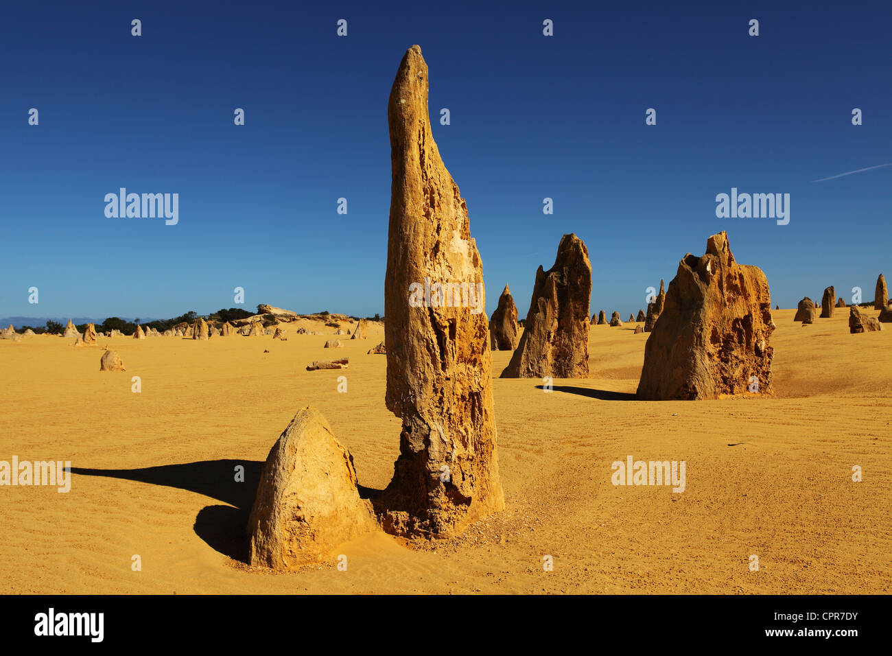 Natural limestone sculptures in the Pinnacles Desert, Western Australia