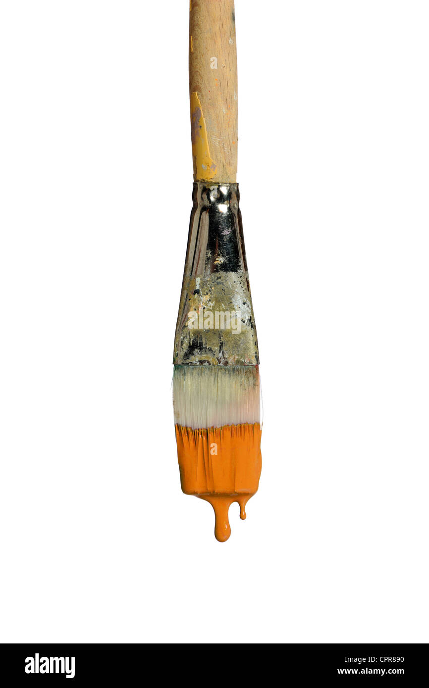 Paintbrush dripping orange paint isolated over white background Stock Photo