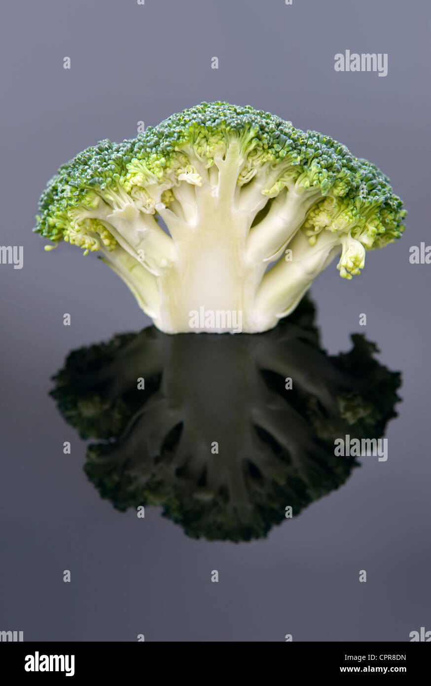 Studio image of fresh uncooked broccoli with reflection on black background Stock Photo