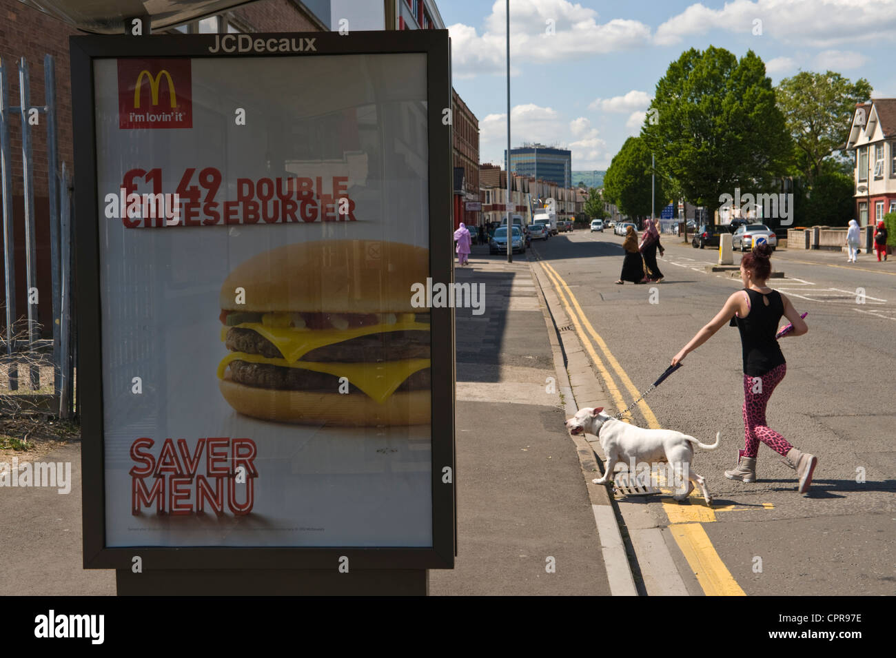 JCDecaux advertising billboard for MCDONALD'S DOUBLE CHEESEBURGER on bus shelter in Newport South Wales UK Stock Photo