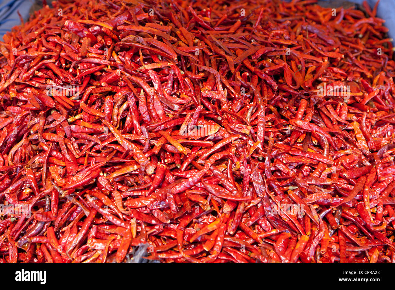 Pile of small red chili peppers Stock Photo
