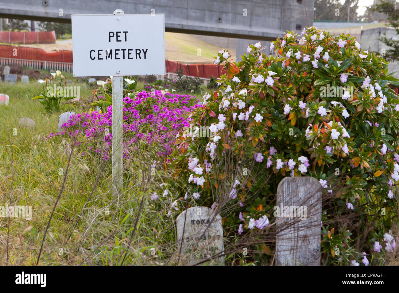 Pet cemetery sign USA Stock Photo Alamy