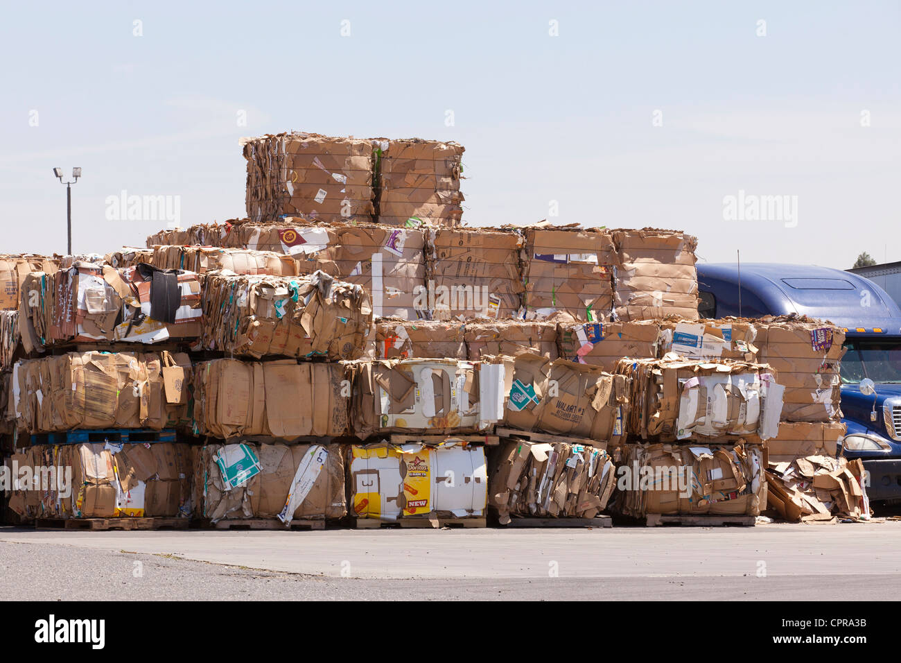 Bales of cardboard stacks in a recycling facility Stock Photo
