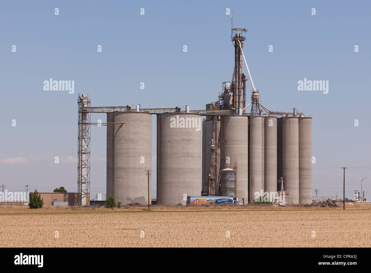 Industrial cylinder grain silos - California USA Stock Photo