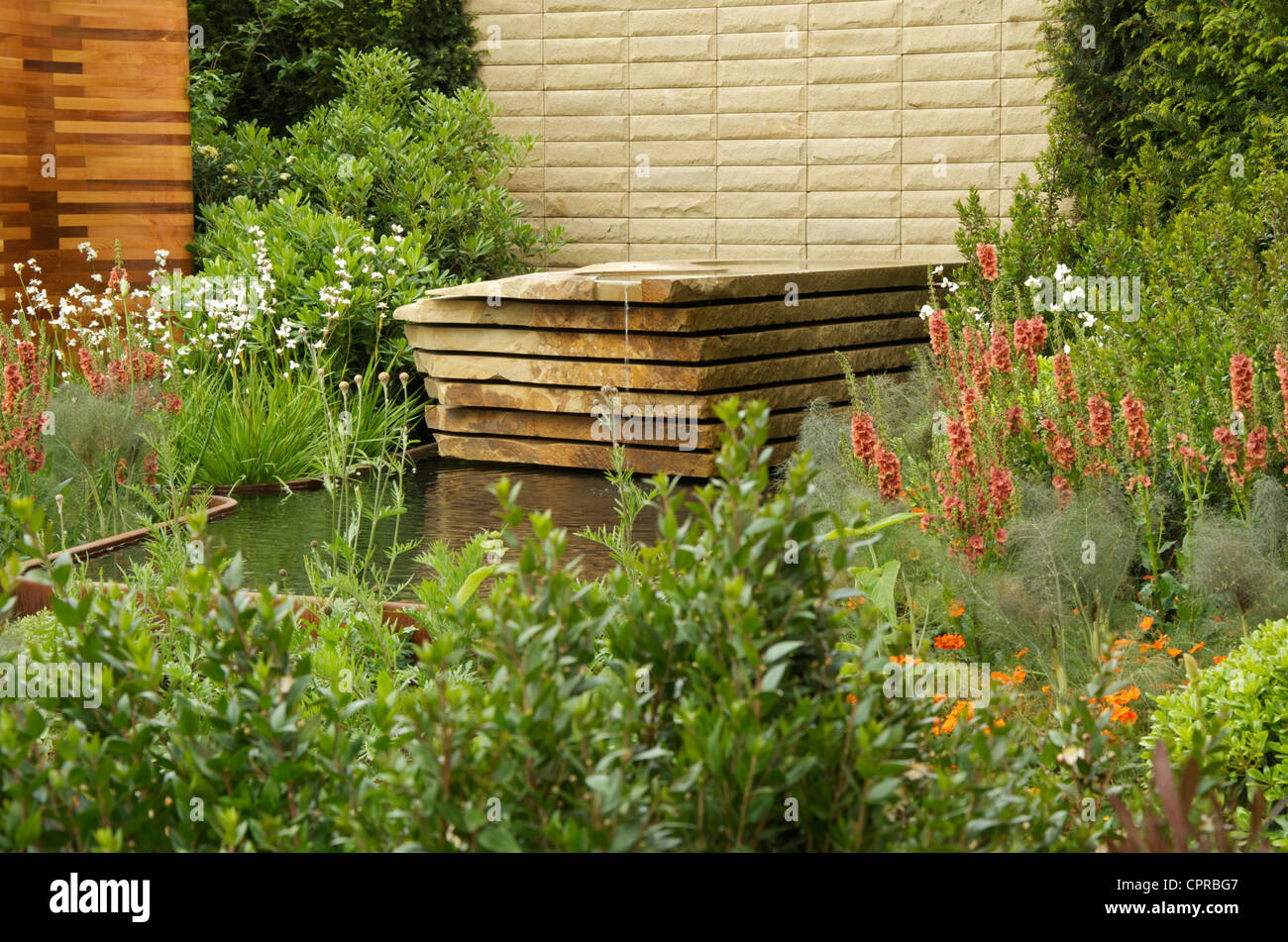 Verbascum Petra and water feature in the Homebase Teenage Cancer Trust Garden at RHS Chelsea Flower Show 2012 Stock Photo