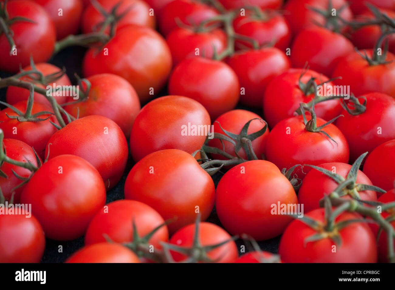 Ripe red organic vine tomatoes at the farmers market Stock Photo - Alamy