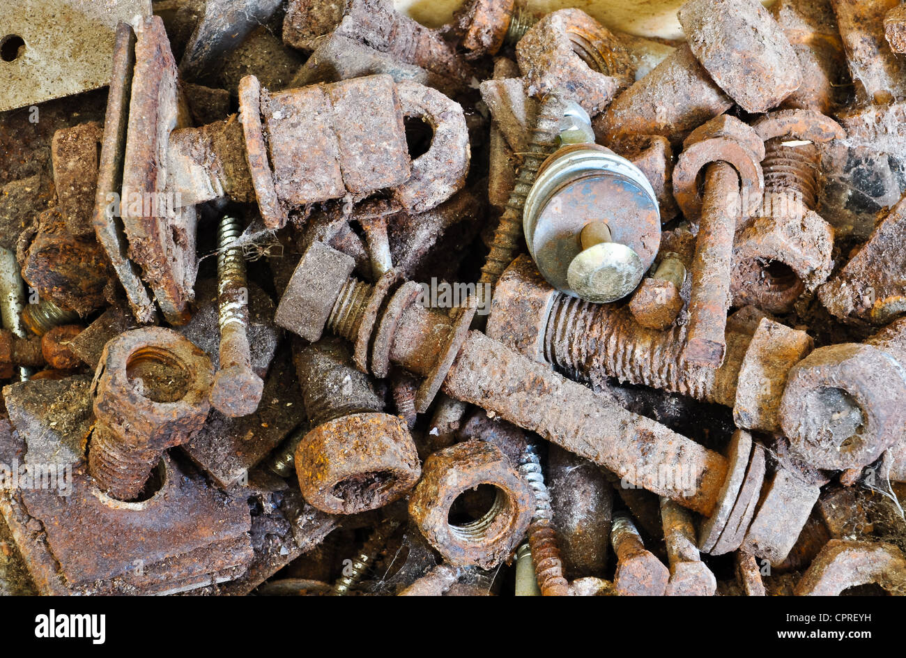 old rusty screws, nuts and bolts with dust and spiderwebs Stock Photo