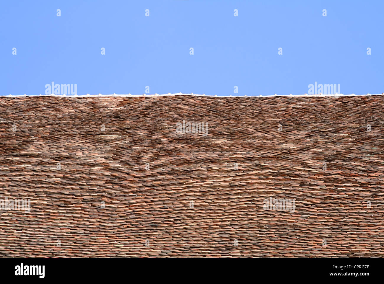 Useful bicolor background generated by a traditional medieval roof and