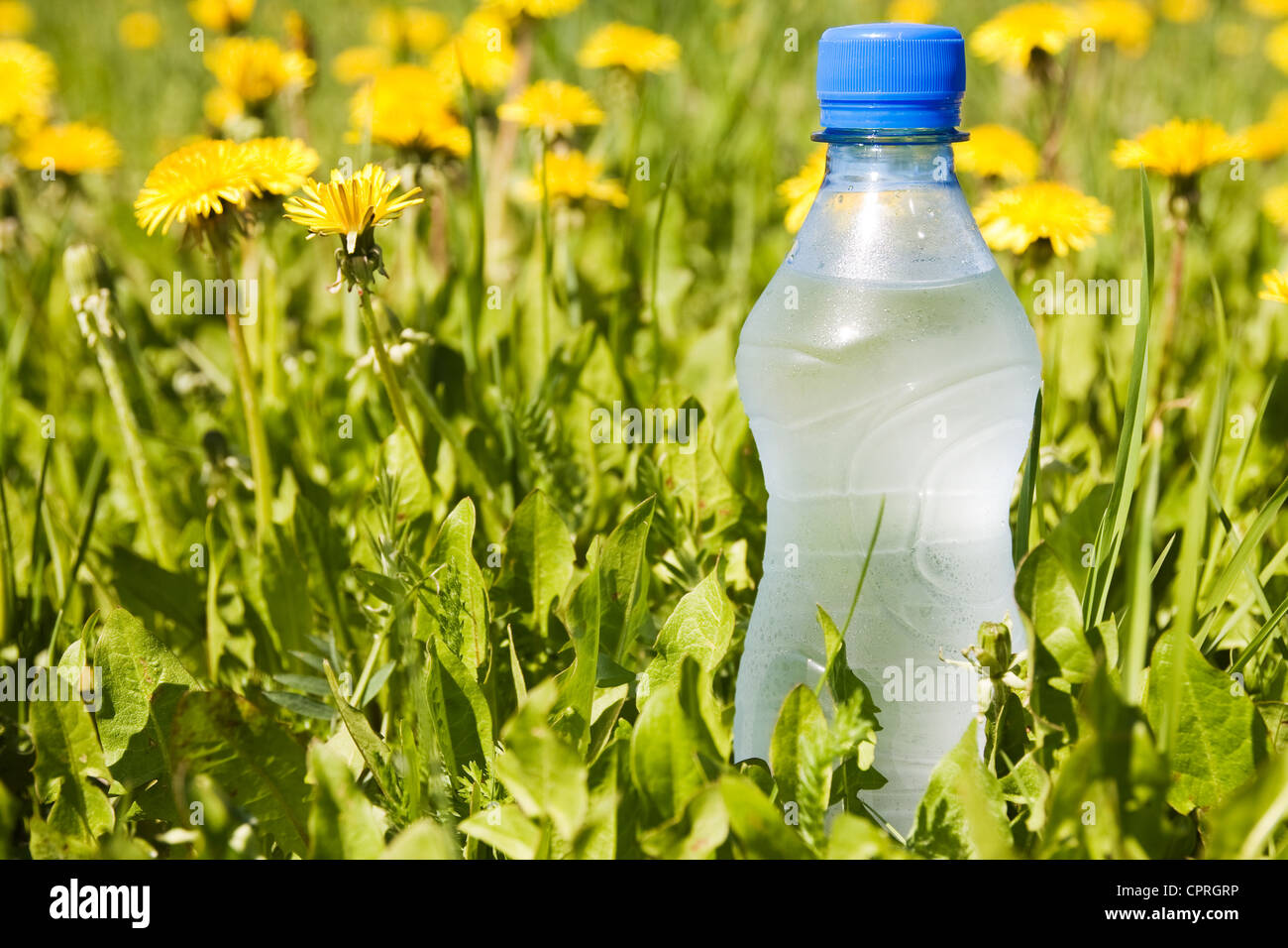cold water bottle in a summer meadow Stock Photo Alamy