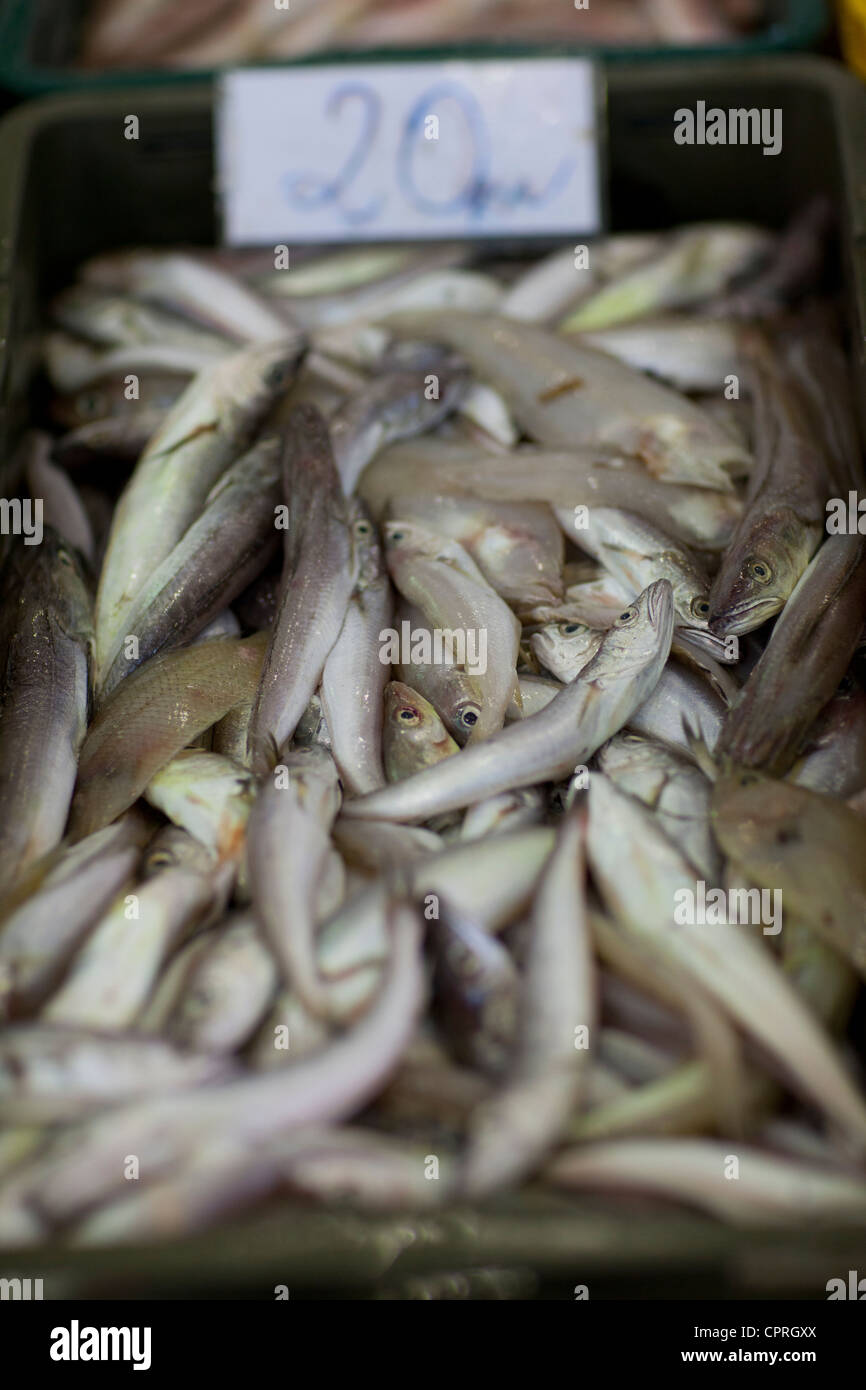 Fish market Zadar Croatia Stock Photo Alamy