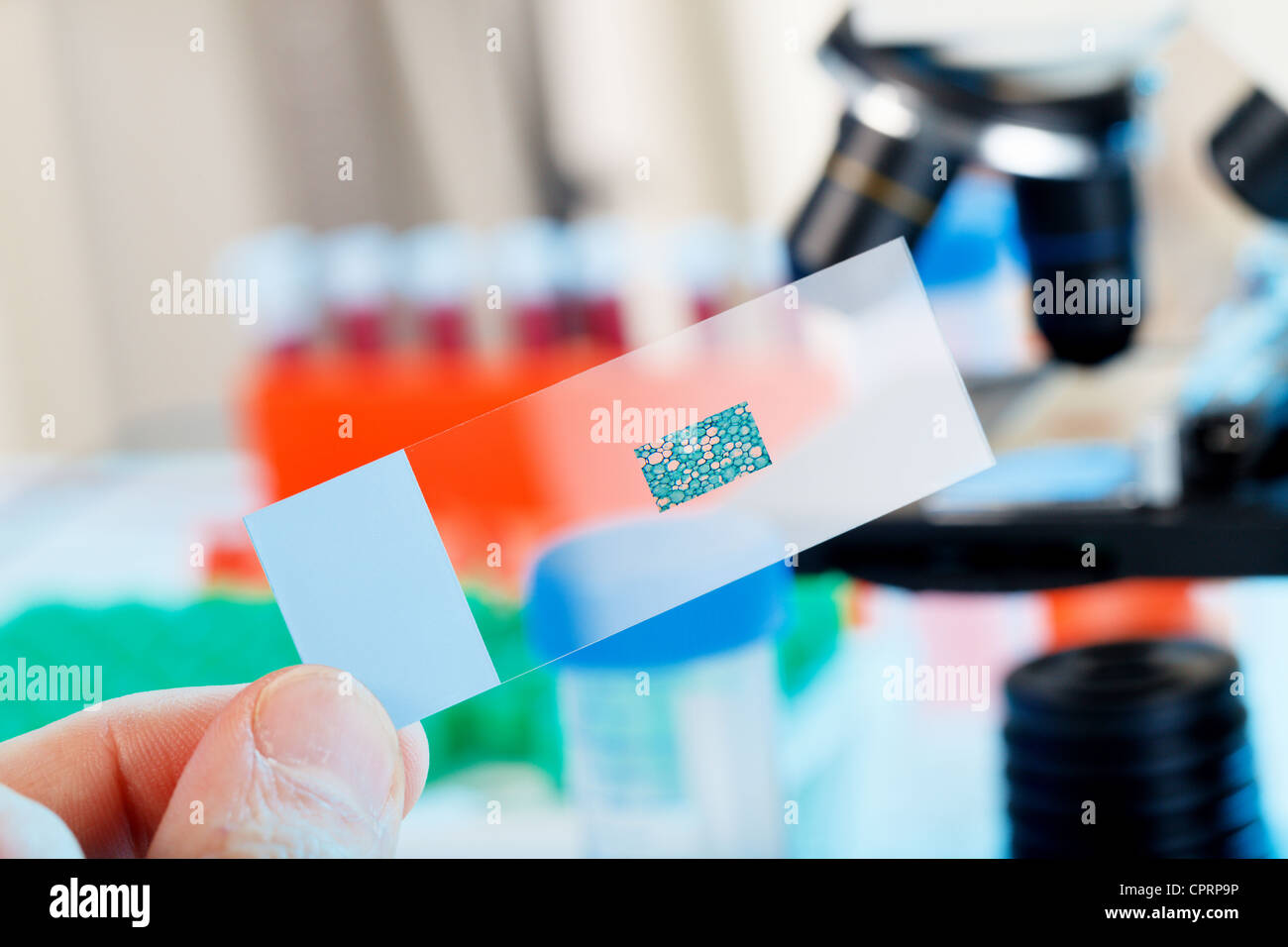 Plate for a microscope objective Stock Photo Alamy