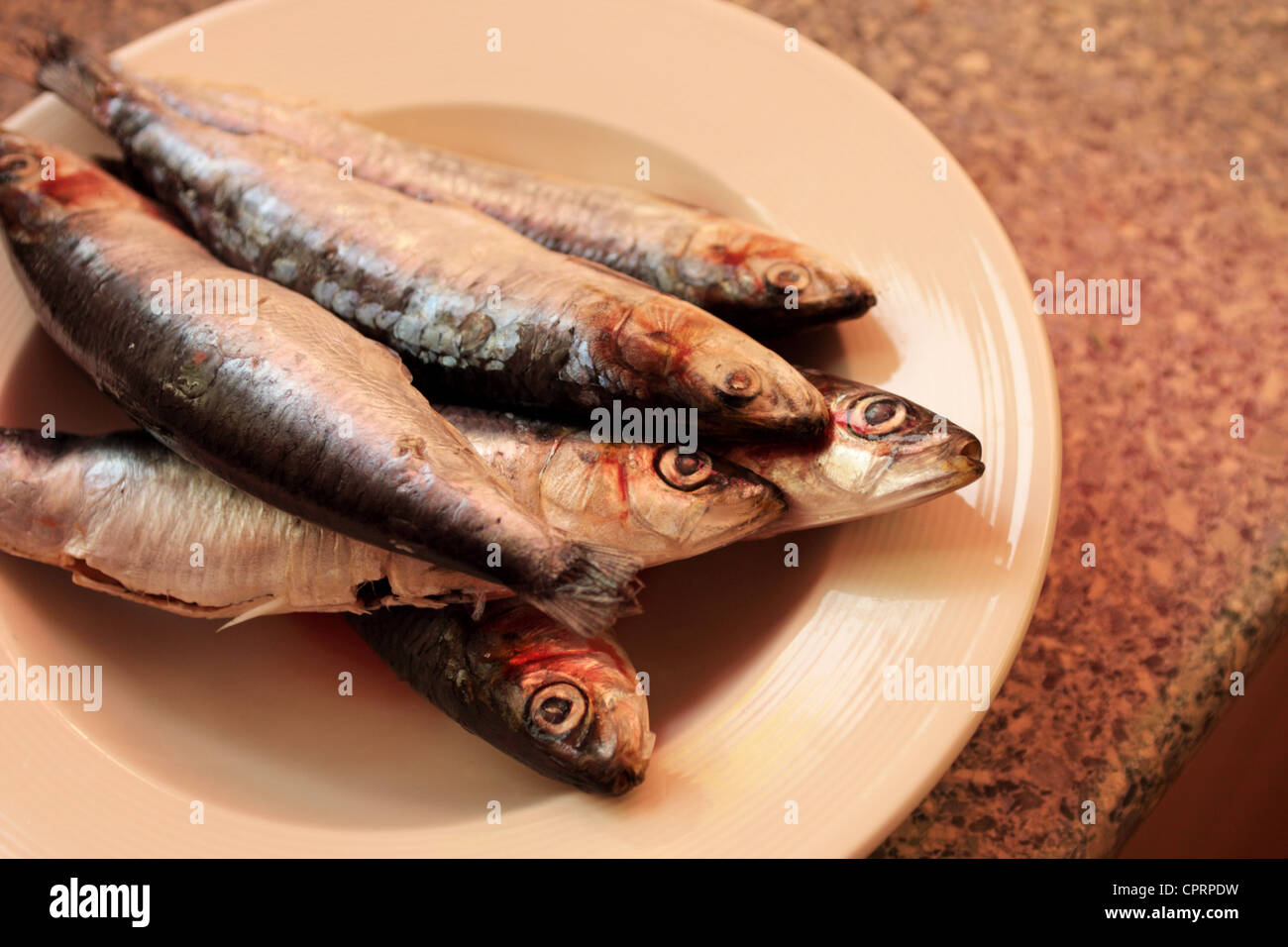 Bowl of Sardines on a kitchen top gutted and ready to grill or fry Stock Photo