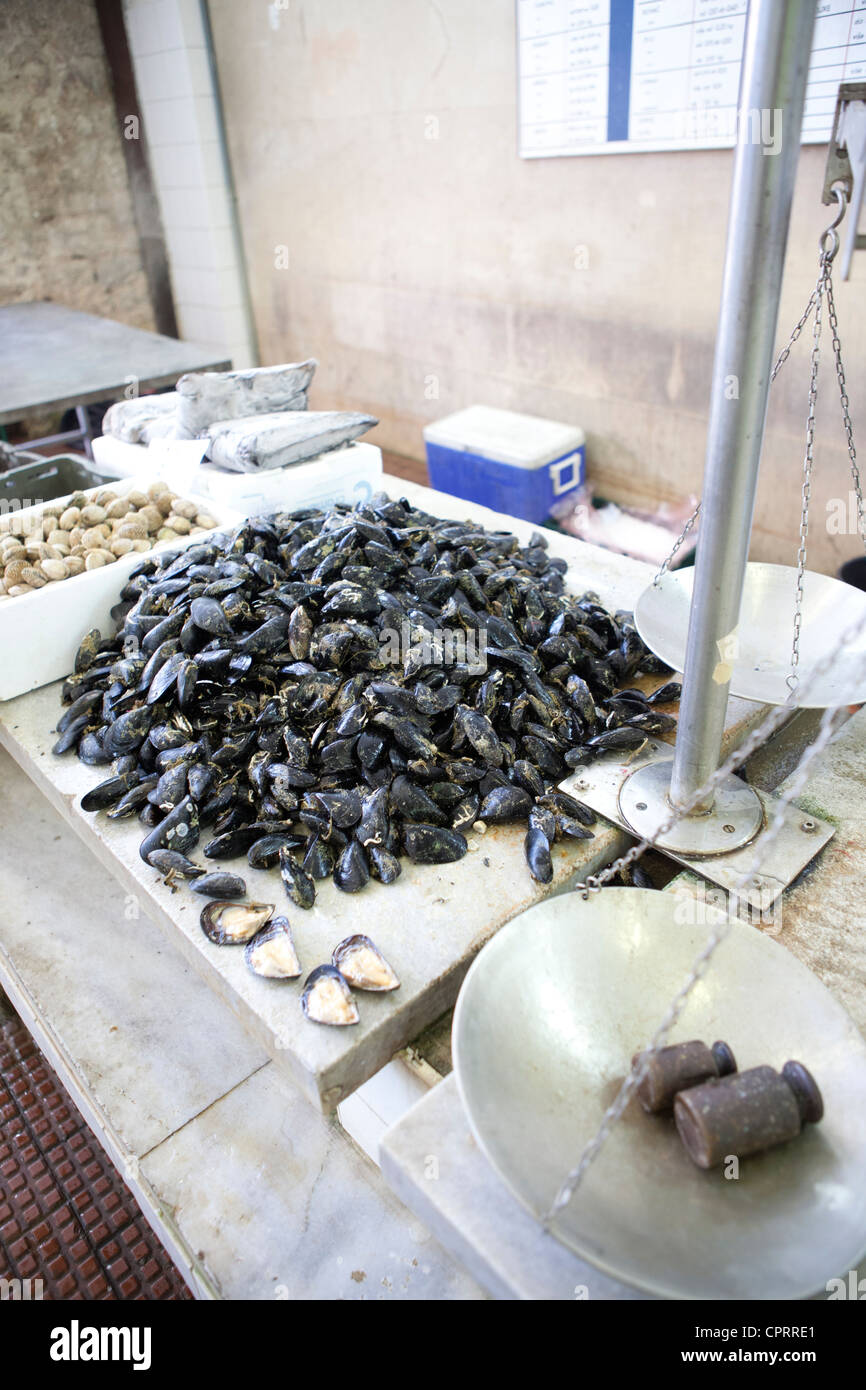 Fish Market Zadar Croatia Stock Photo Alamy