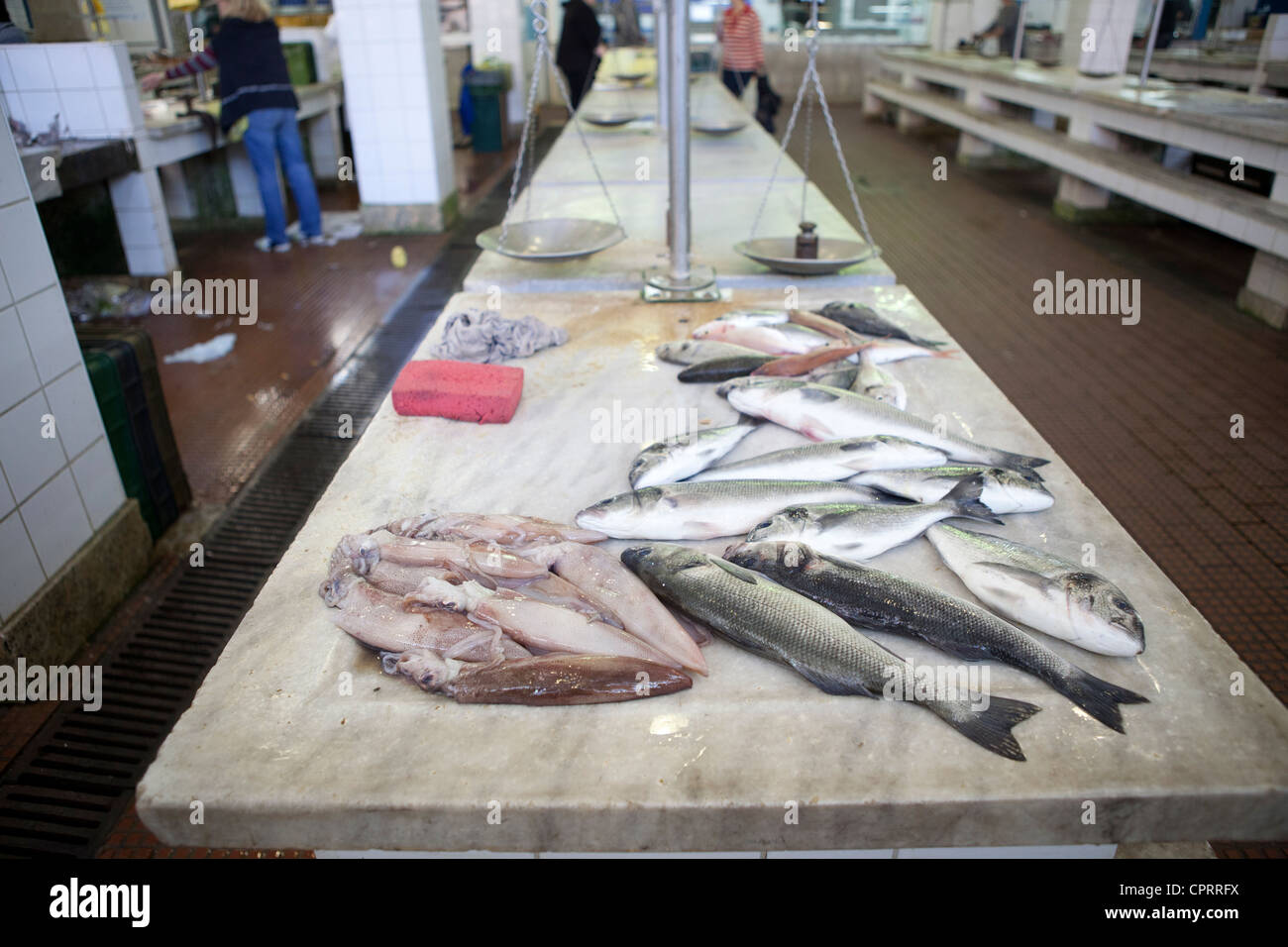 Fish Market Zadar Croatia Stock Photo Alamy