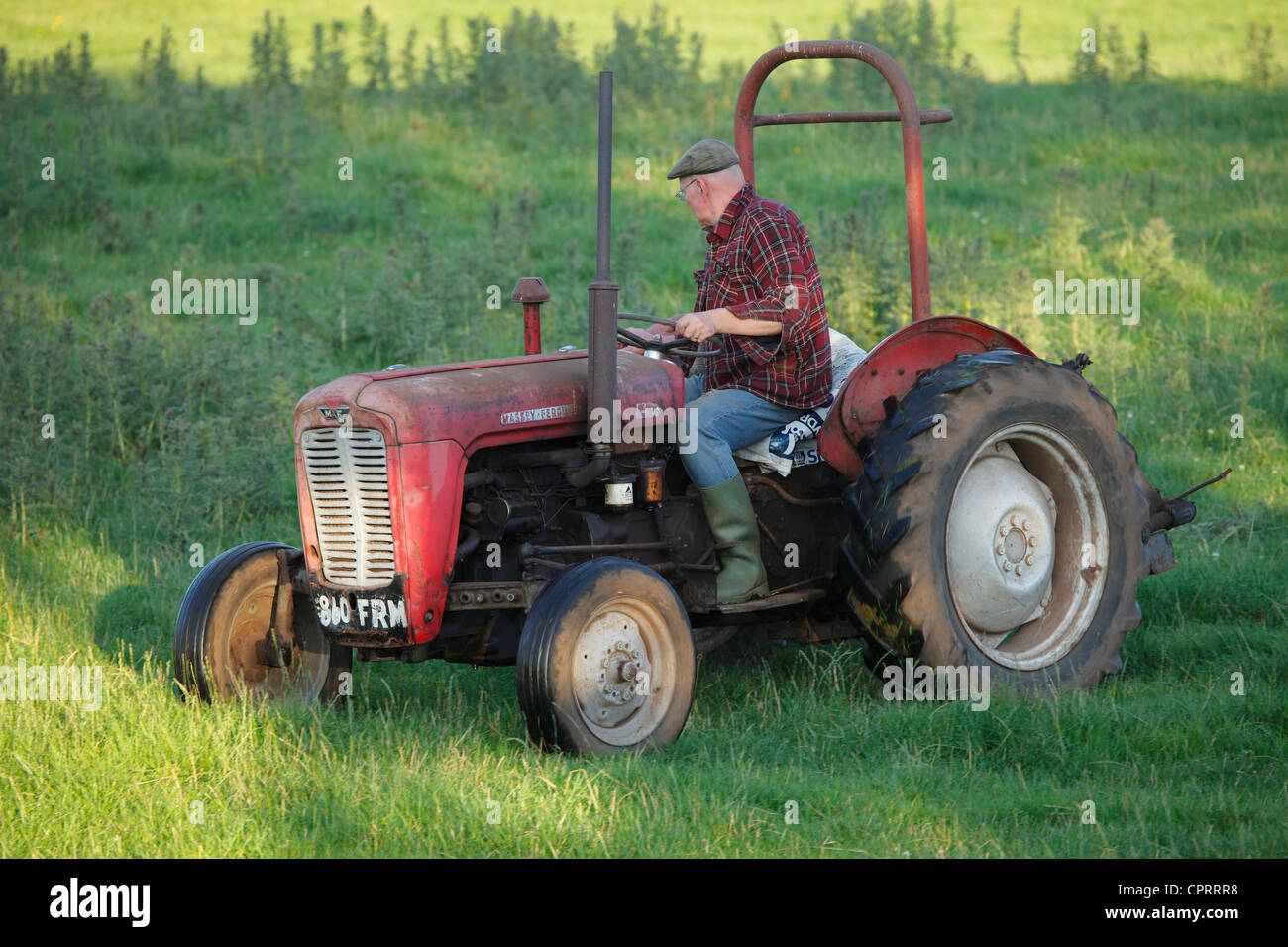 Farmer on Massey Ferguson tractor in the evening light, Eden Valley, Cumbria Stock Photo Alamy