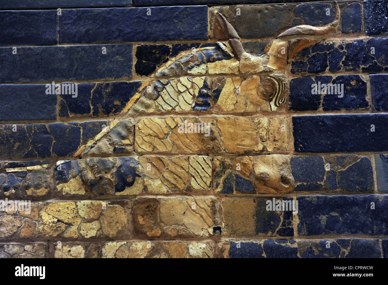 Mesopotamian art. Neo-Babylonian. Ishtar Gate. An aurochs. Detail of the head. Pergamon Museum. Berlin. Germany. Stock Photo