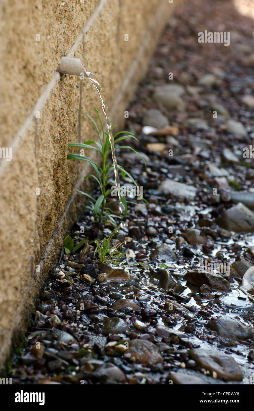 Water pouring from an overflow pipe and going to waste Stock Photo Alamy