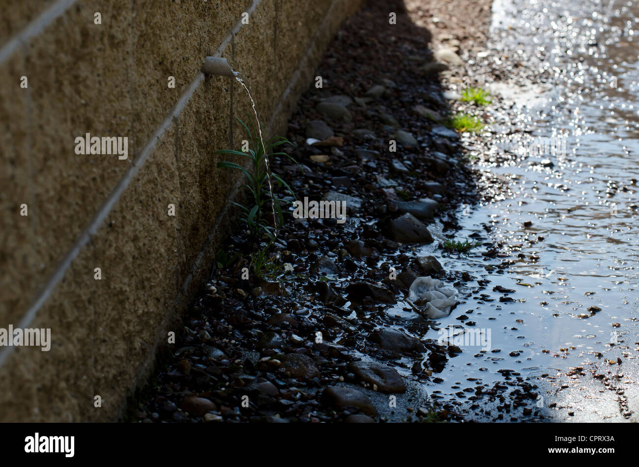 Water pouring from an overflow pipe and going to waste Stock Photo Alamy