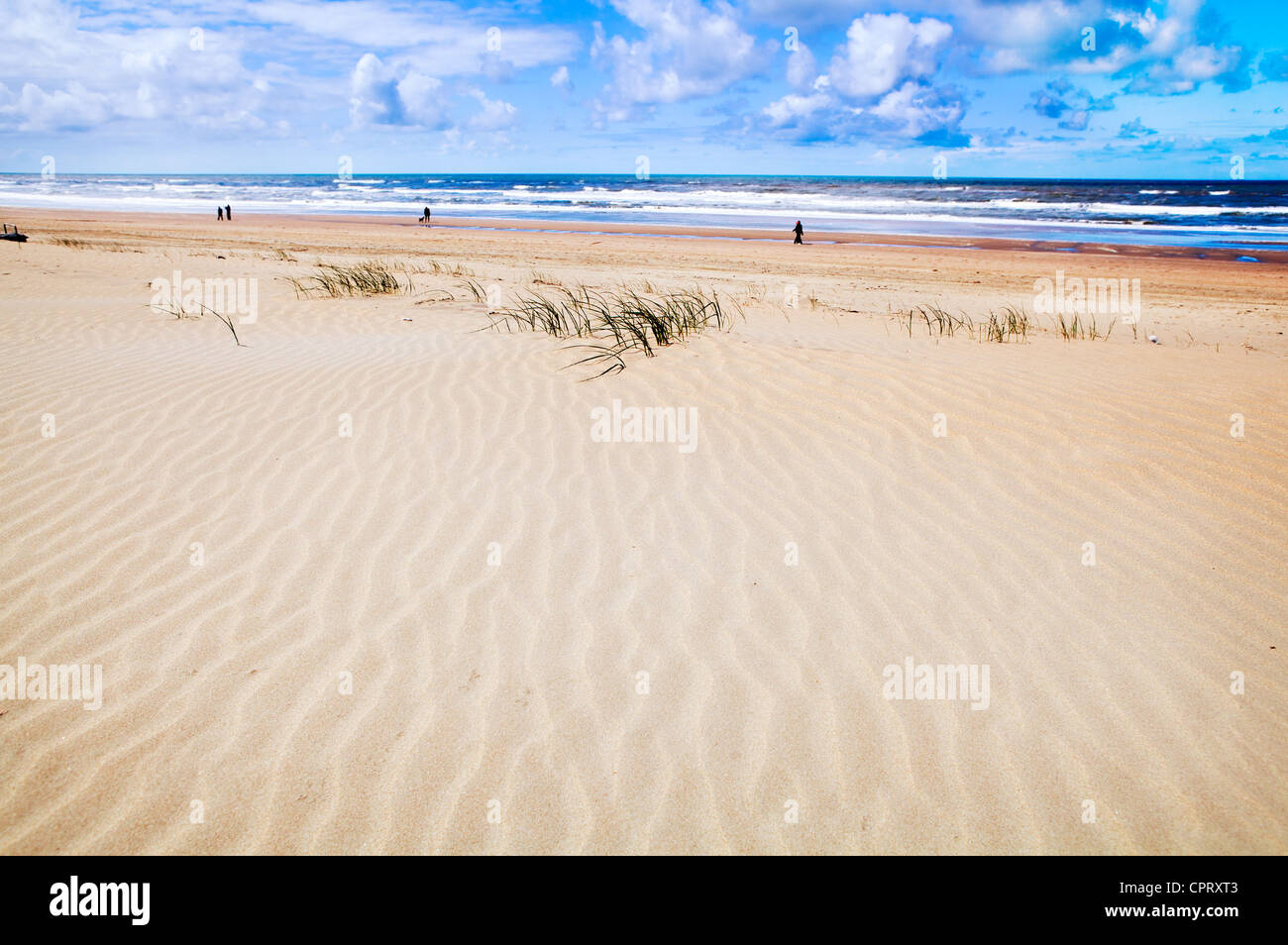 warm sand beach and sea line under sky Stock Photo