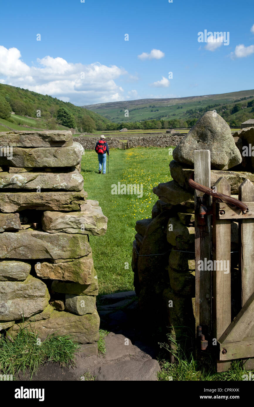 A narrow wooden gate, dry stone walls, Public right of way for walkers & ramblers in farmland, North Yorkshire Dales Meadows, Gunnerside UK Stock Photo