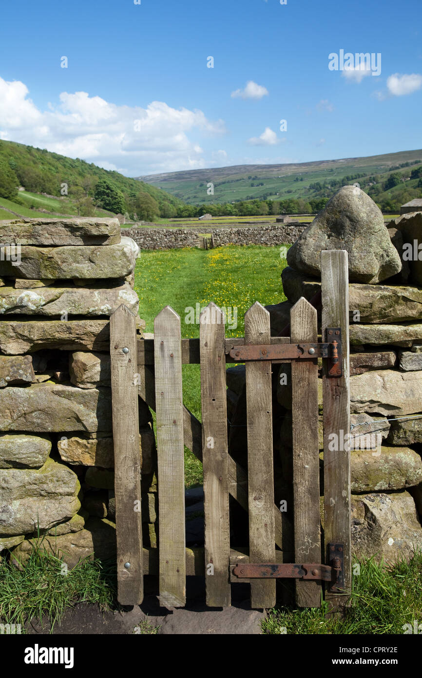 Wooden gate, dry stone walls, Public right of way for walkers & ramblers in farmland, North Yorkshire Dales Meadows, Gunnerside Yorkshire Dales, UK Stock Photo