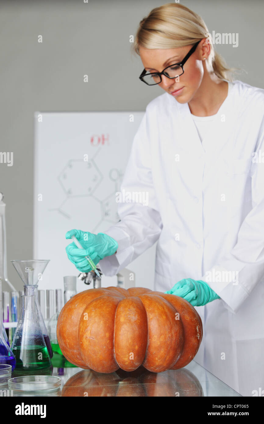 Scientist conducting genetic experiment with pumpkin Stock Photo