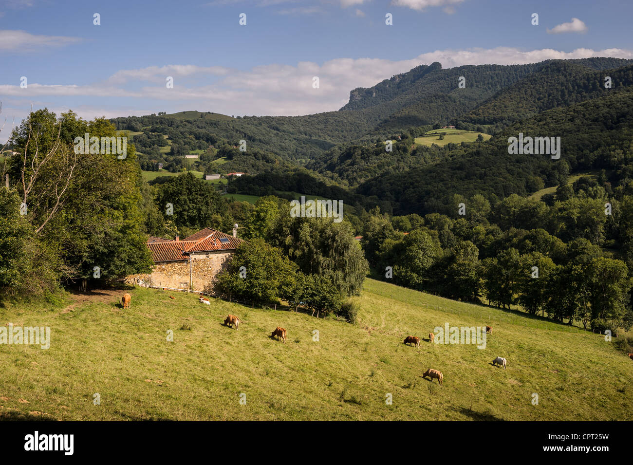 Foothills of the pyrenees hi-res stock photography and images - Alamy