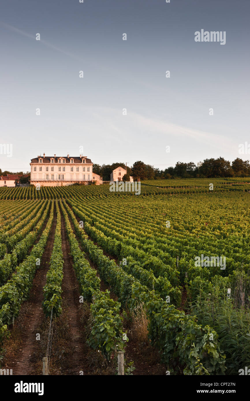 Chambertin wine hires stock photography and images Alamy