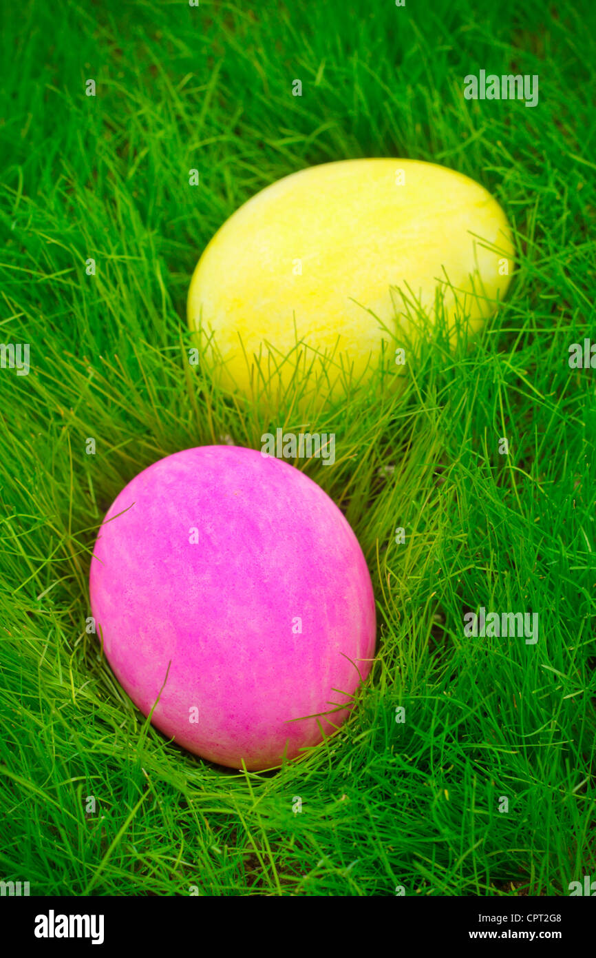 Painted colorful Easter eggs in the grass Stock Photo