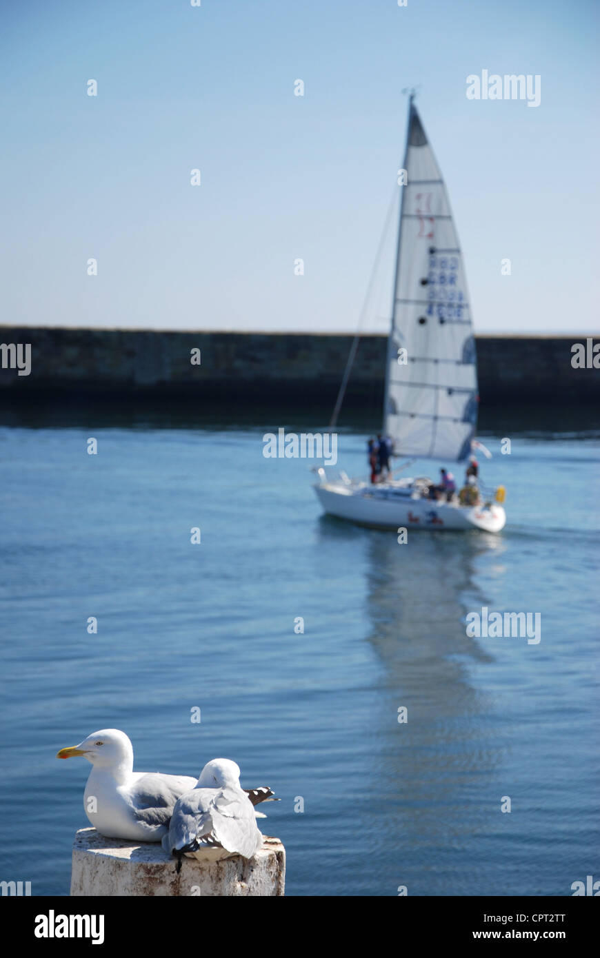 Yacht in Whitby Harbour North Yorkshire United Kingdom Stock Photo - Alamy