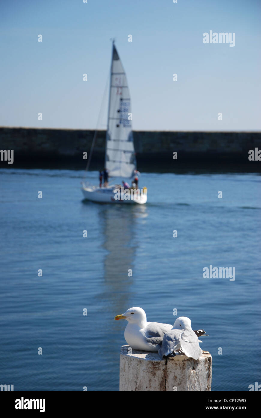 Yacht in Whitby Harbour North Yorkshire United Kingdom Stock Photo - Alamy