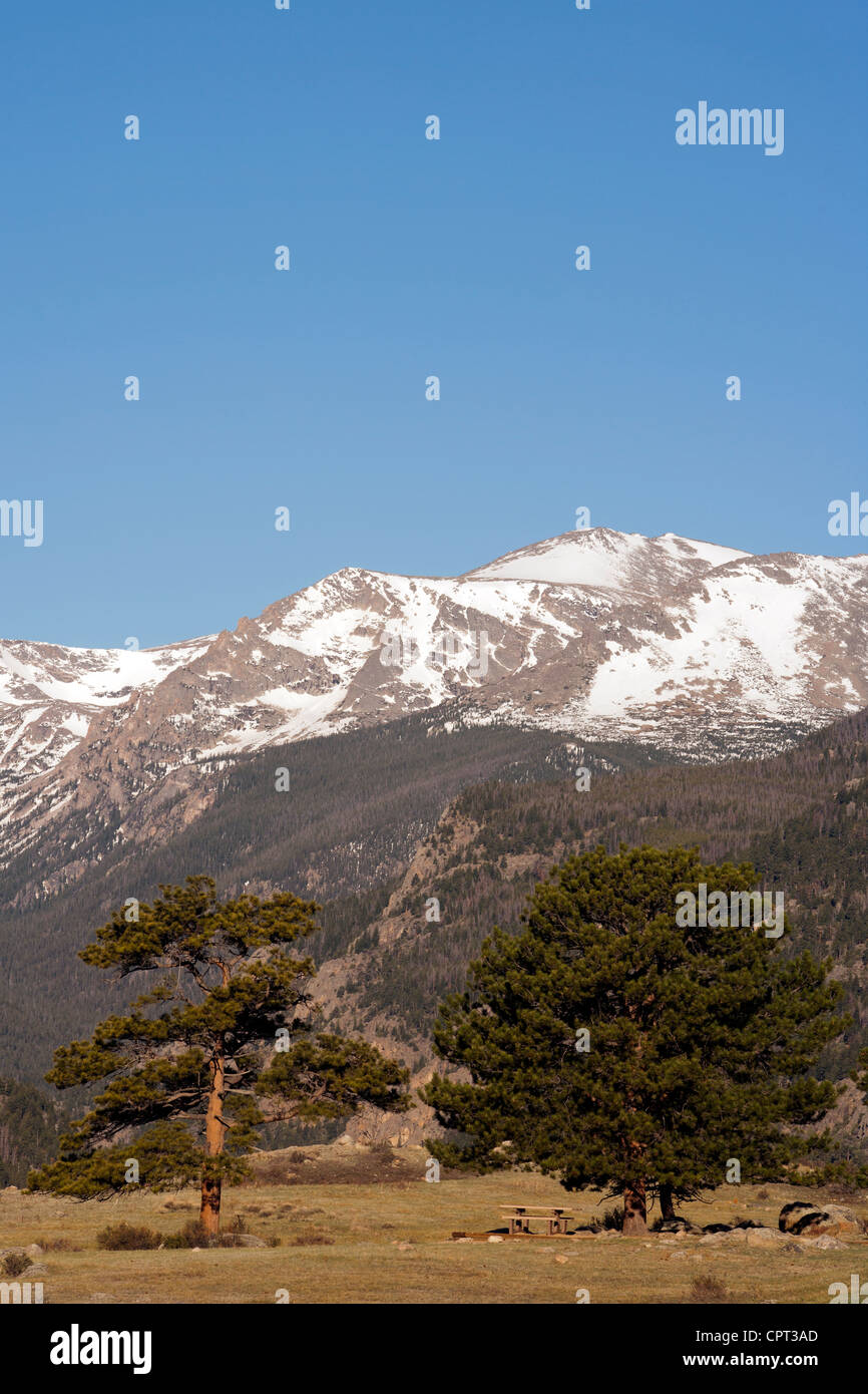 Picnic Area in Rocky Mountain National Park  - Estes Park, Colorado USA Stock Photo