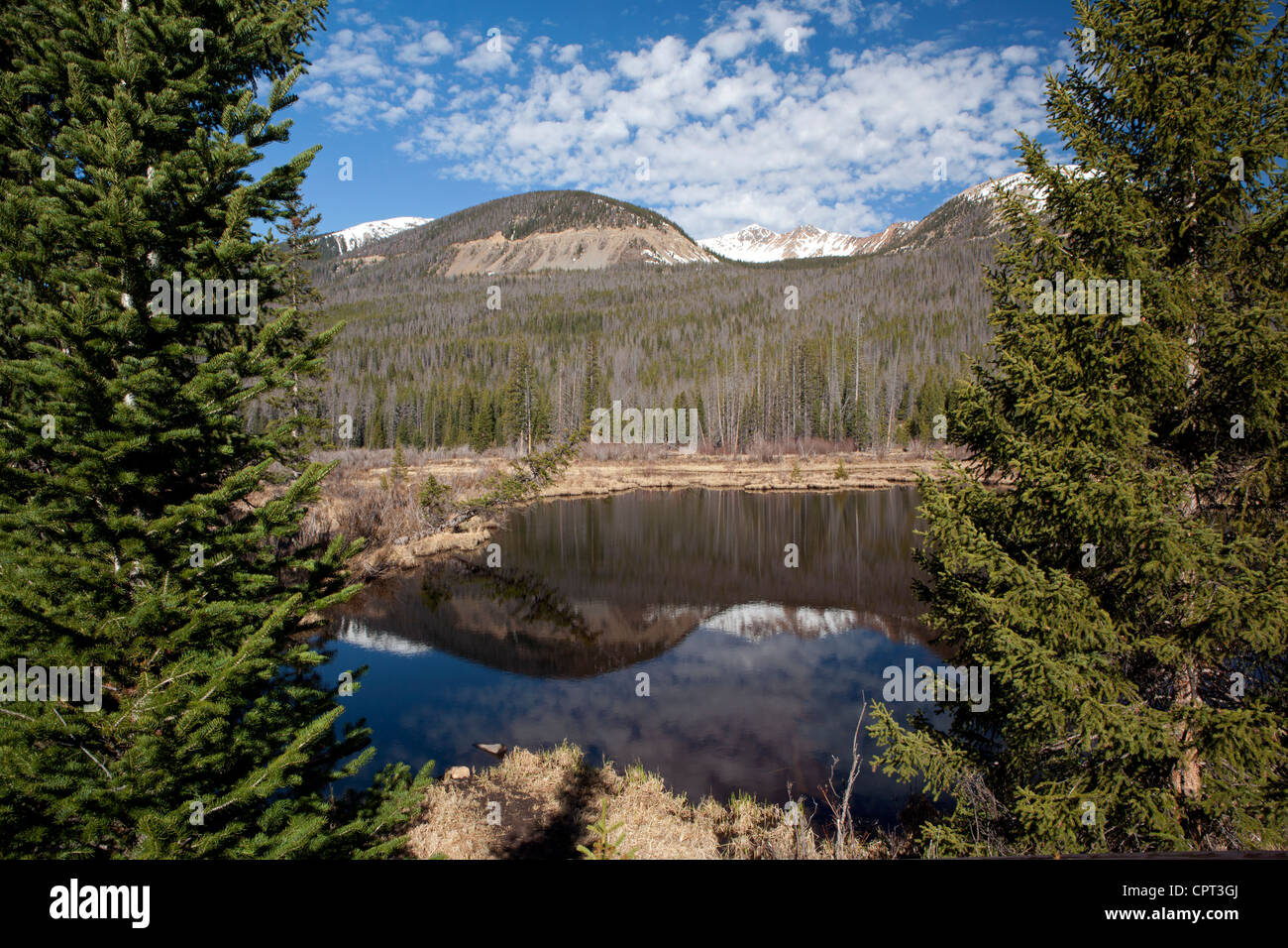 Beaver Lakes Rocky Mountain National Park Grand Lake, Colorado USA