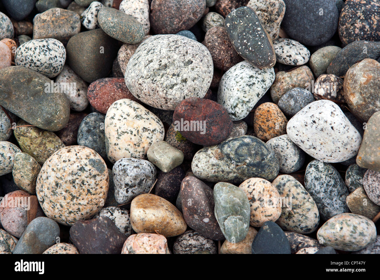 Rocks Patterns - Sargeant Bay Provincial Park - Sunshine Coast - Sechelt, British Columbia, Canada Stock Photo