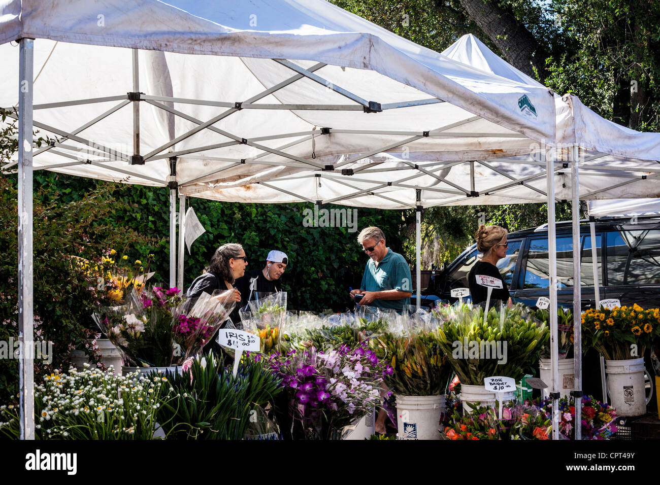 Scenes from the Sunday Ojai California USA Farmers Market where all the
