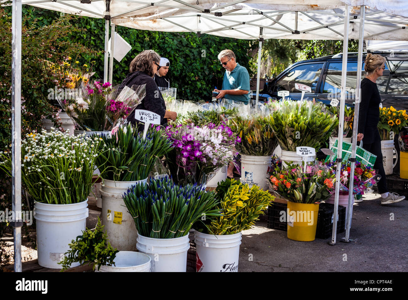 Scenes from the Sunday Ojai California USA Farmers Market where all the