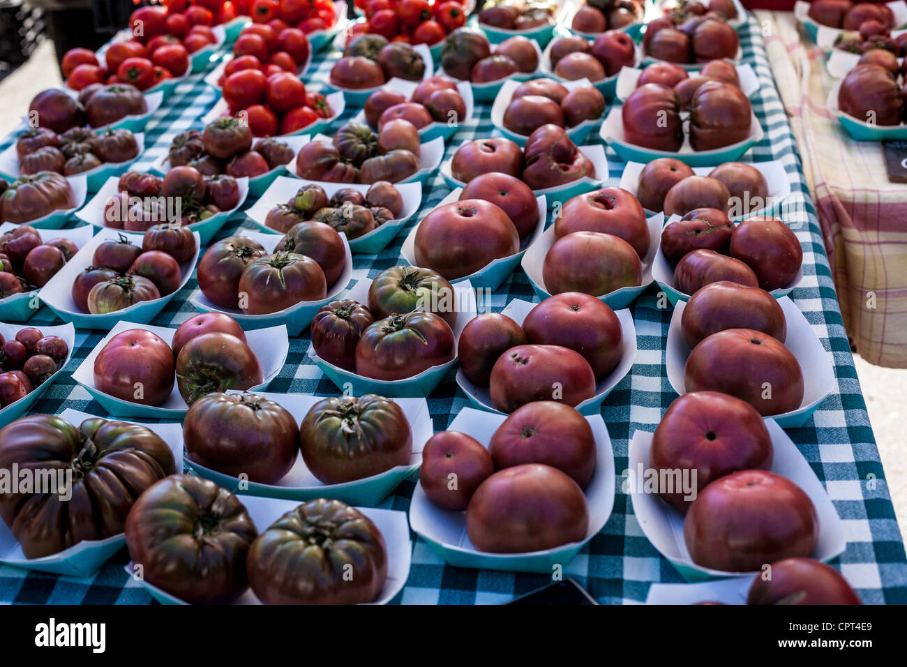 Scenes from the Sunday Ojai California USA Farmers Market where all the