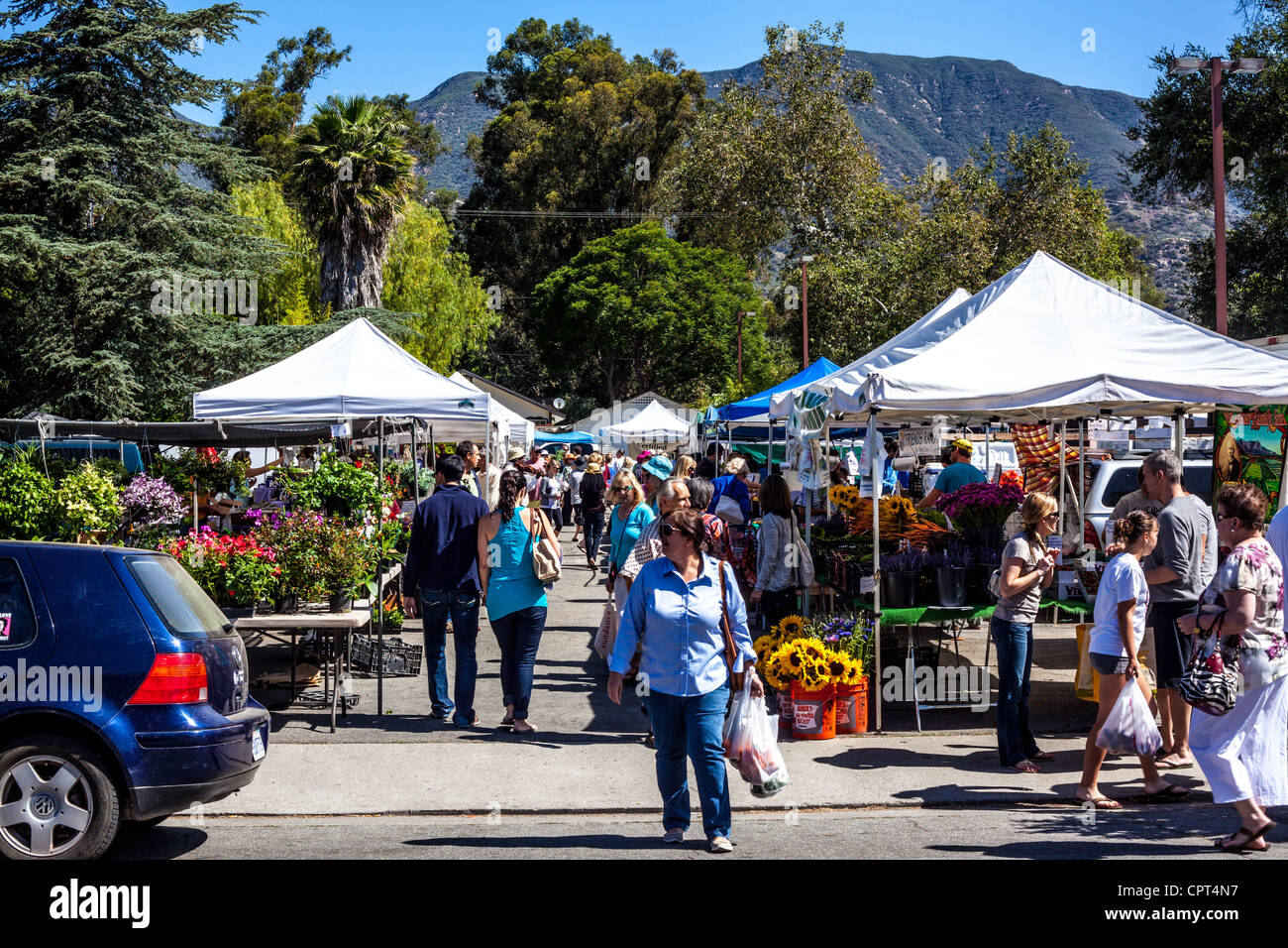 Scenes from the Sunday Ojai California USA Farmers Market where all the