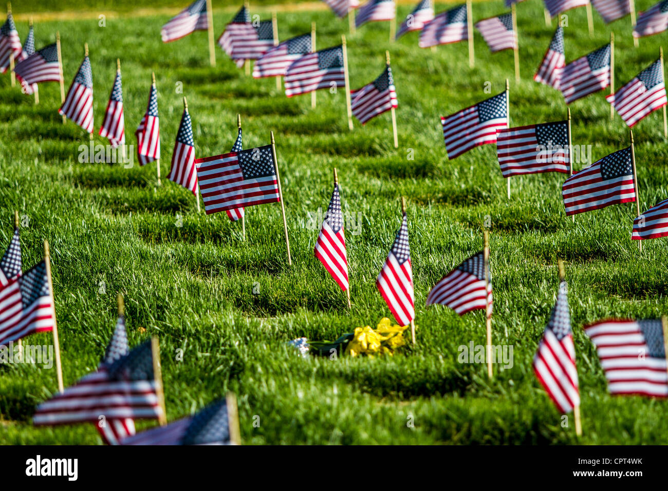 Olive garden menu for veterans on veterans day