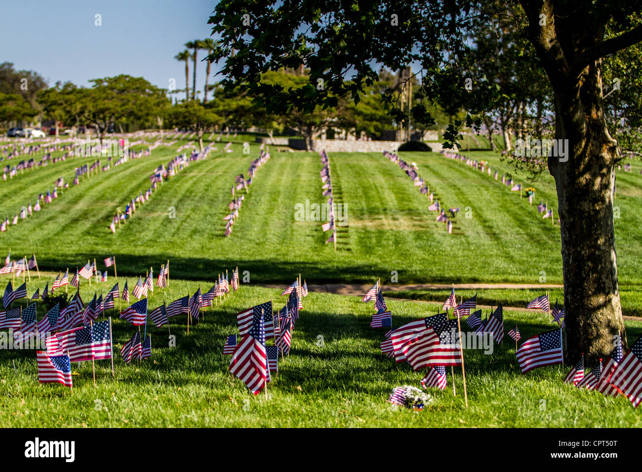 Olive garden menu for veterans on veterans day