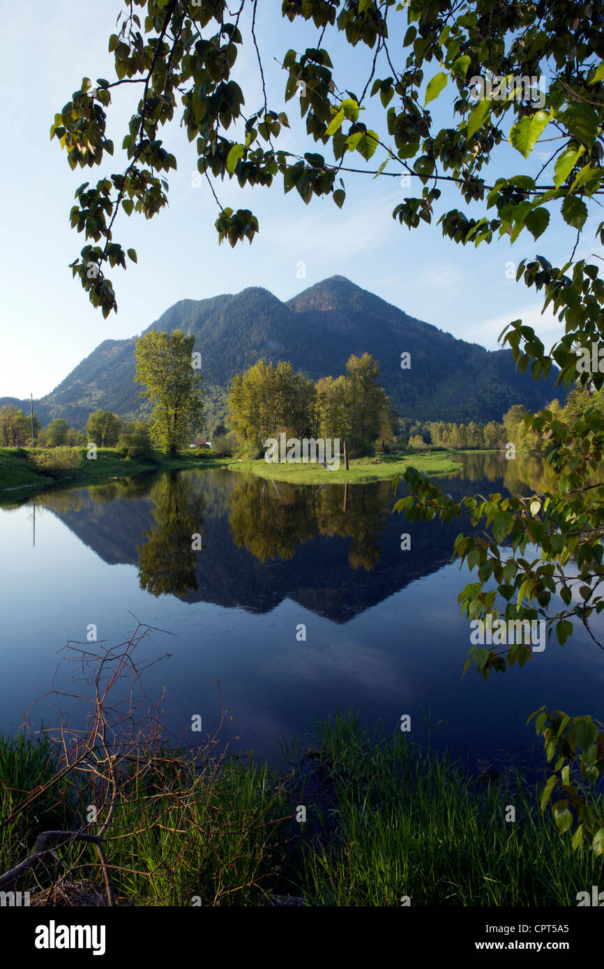 Seabird Island Landscape - near Agassiz, British Columbia, Canada Stock Photo